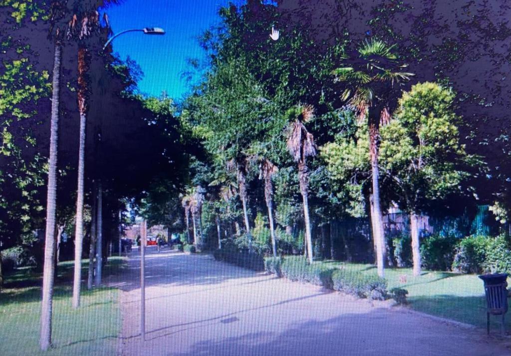 Noria 2B Lägenhet Alcalá de Henares Exteriör bild
